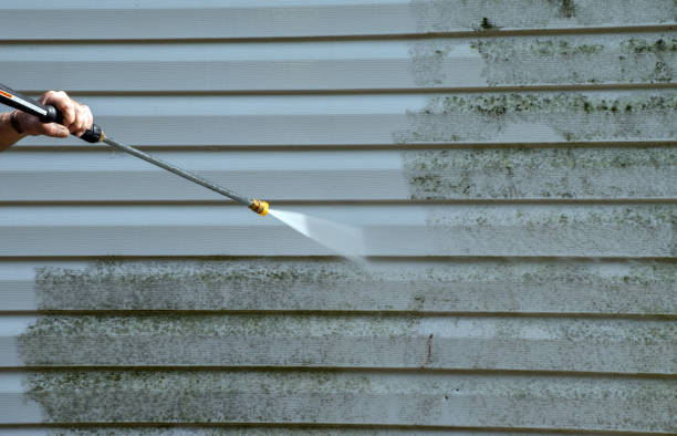 Pressure Washing Brick in Steele, AL