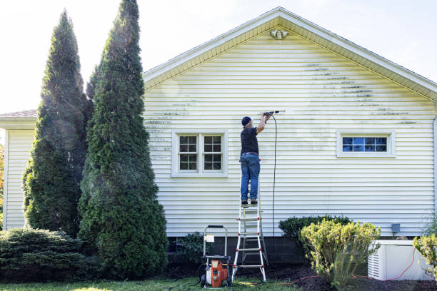 Why Choose Our Certified Pressure Washing Experts for Your Project Needs in Steele, AL?