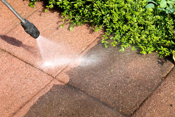Reliable Steele, AL Pressure Washing Solutions